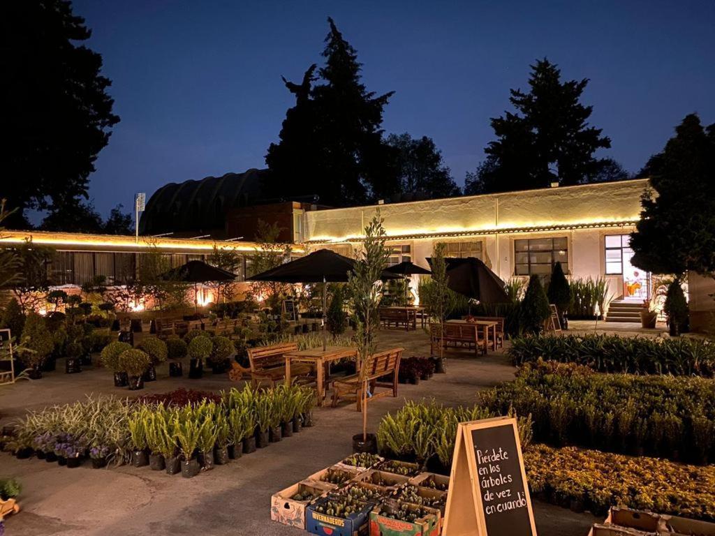 Hotel Express Quinta Soledad Мехико Экстерьер фото