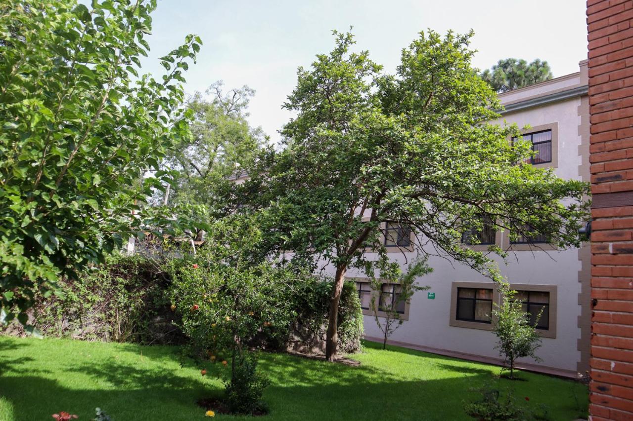 Hotel Express Quinta Soledad Мехико Экстерьер фото